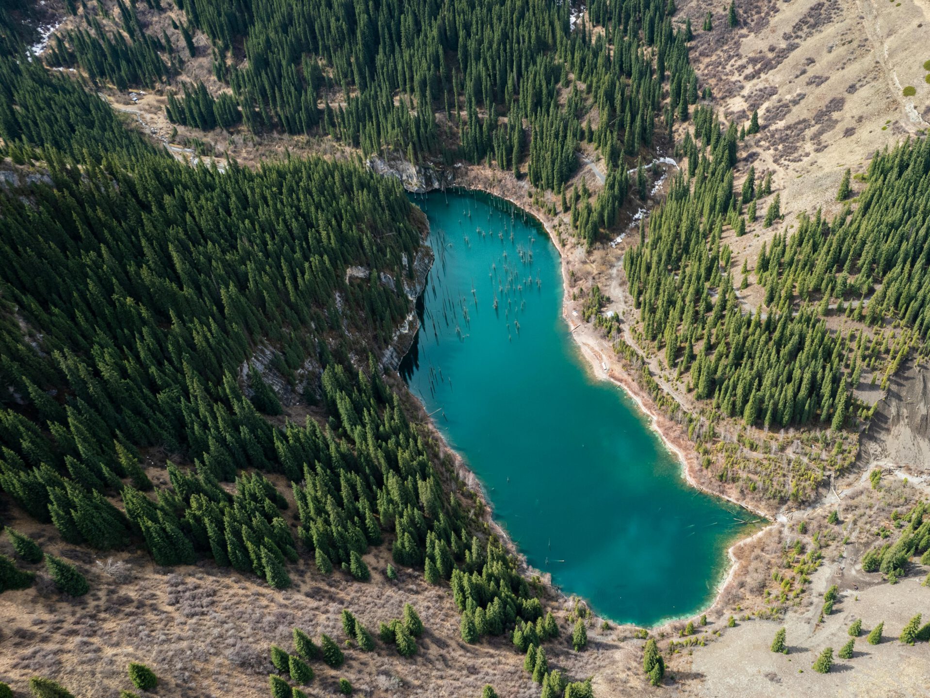 Hồ Kaindy – Khu Rừng Ngập Nước Độc Đáo Nhất Thế Giới